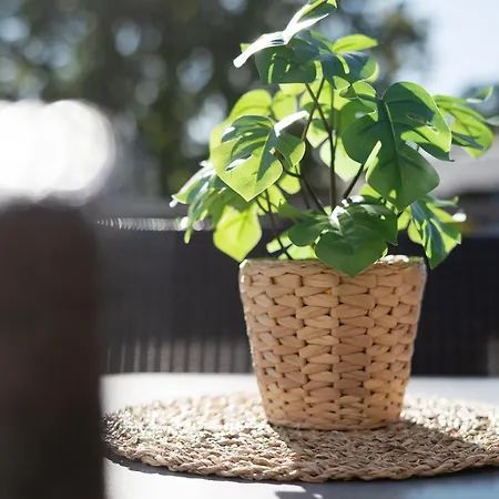 Seestraße 17 Seelöwe 20 Apartment *